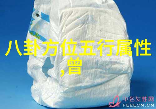 家务优等生综艺我是家庭中的超级清洁高手