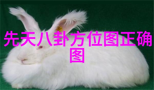 影视界的国民老公陈伟霆晋级声入人心总决赛激动情绪满满