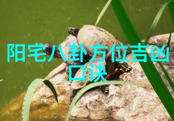 绽放的童话梦想探索儿时故事与现代娱乐的奇妙融合