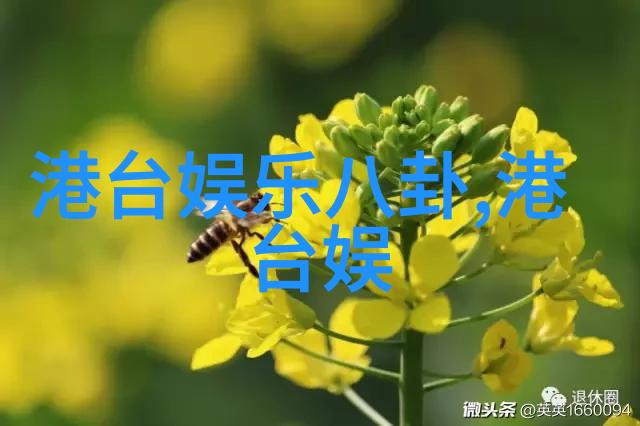 做一个女神女性写真背后的故事与秘密