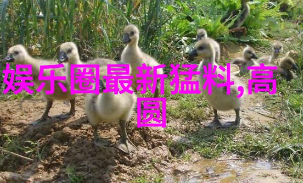 宫廷密档300勇士的秘密首次亮相太后亲授拍摄技巧分享