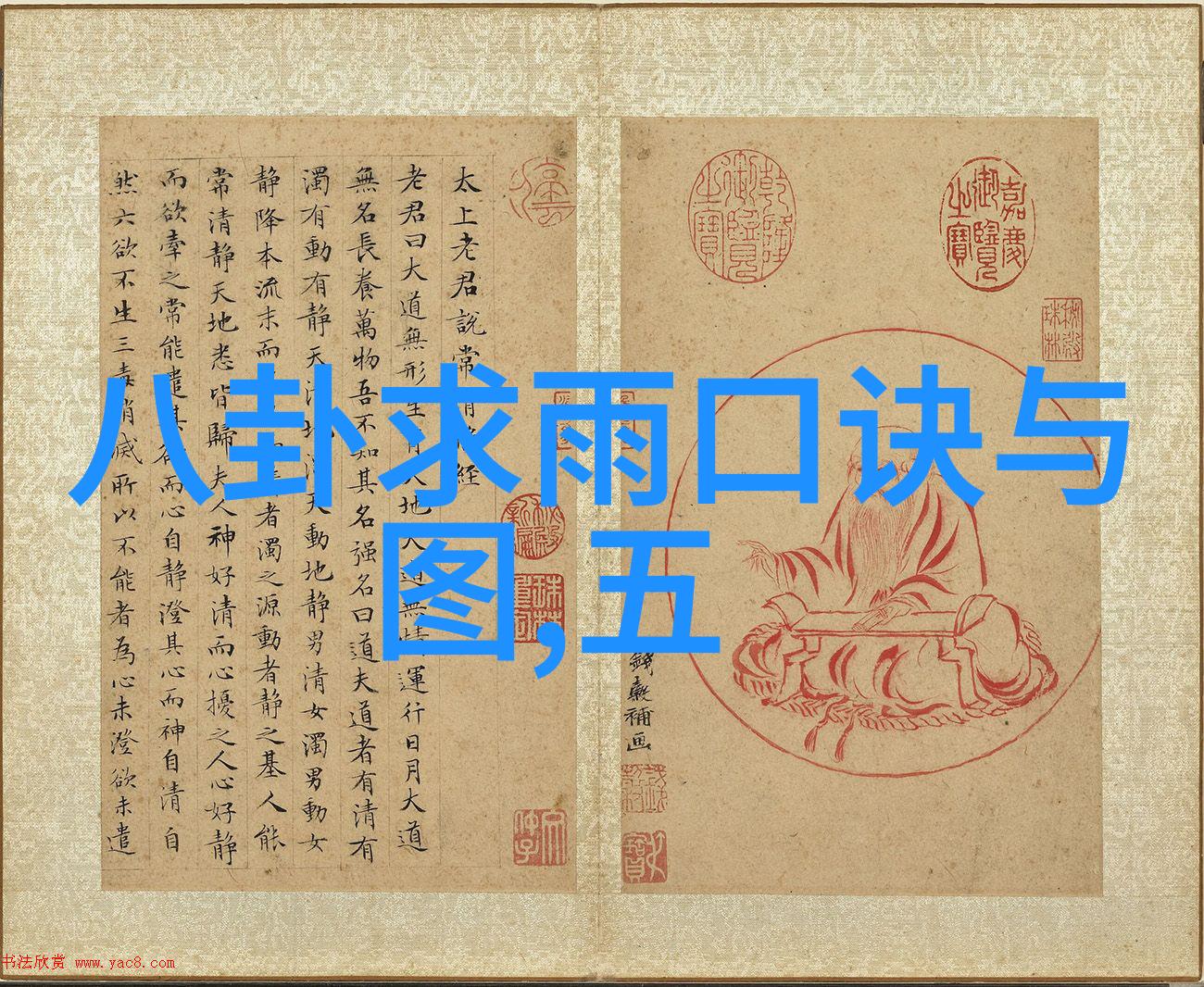 偶像绽放梦想之光的电视舞台