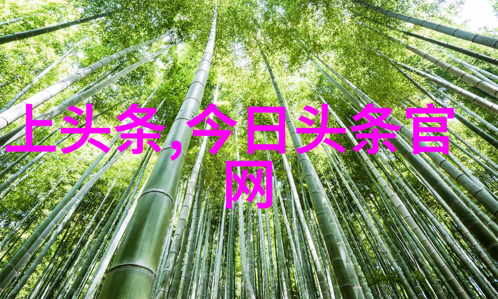图片搜索我是如何用百度图片识别找回失落的记忆的