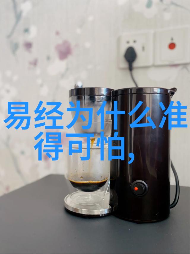 我和老妈一起嫁 电视剧 - 跨越一生共赴新梦想我和老妈的婚姻奇遇