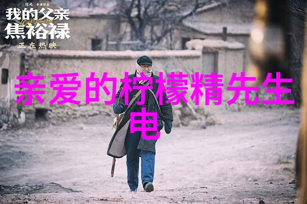 爸爸当家2家庭盛宴全集免费观看笑声与爱汇聚一堂