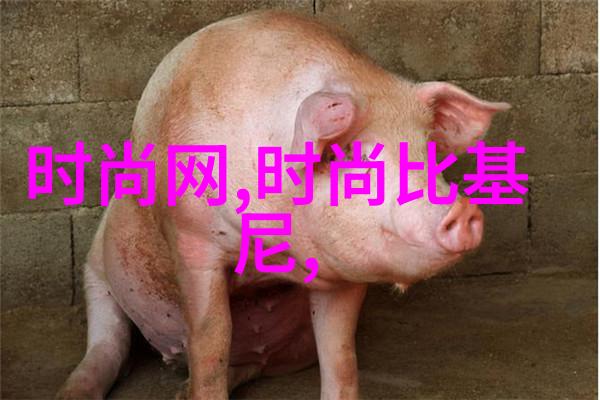 彭冠英婚姻的两种猜想正在热播 钢铁直男人设的矛与盾