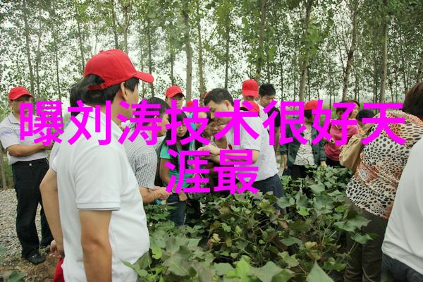 快乐助力温暖人心记录在行动中的公益活动