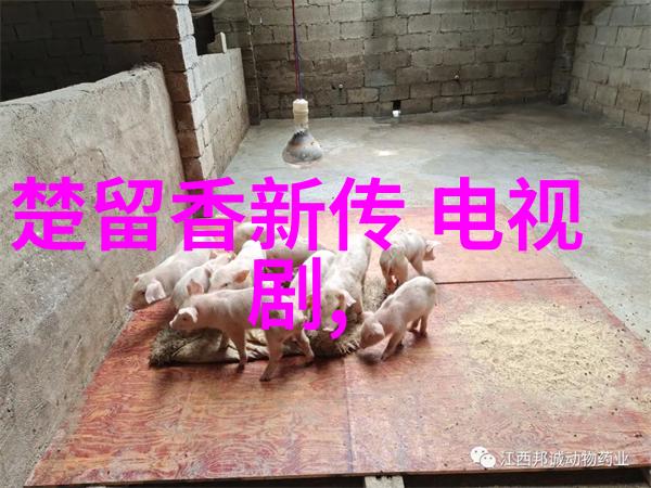 银幕下的梦魇影视明星的隐秘探索