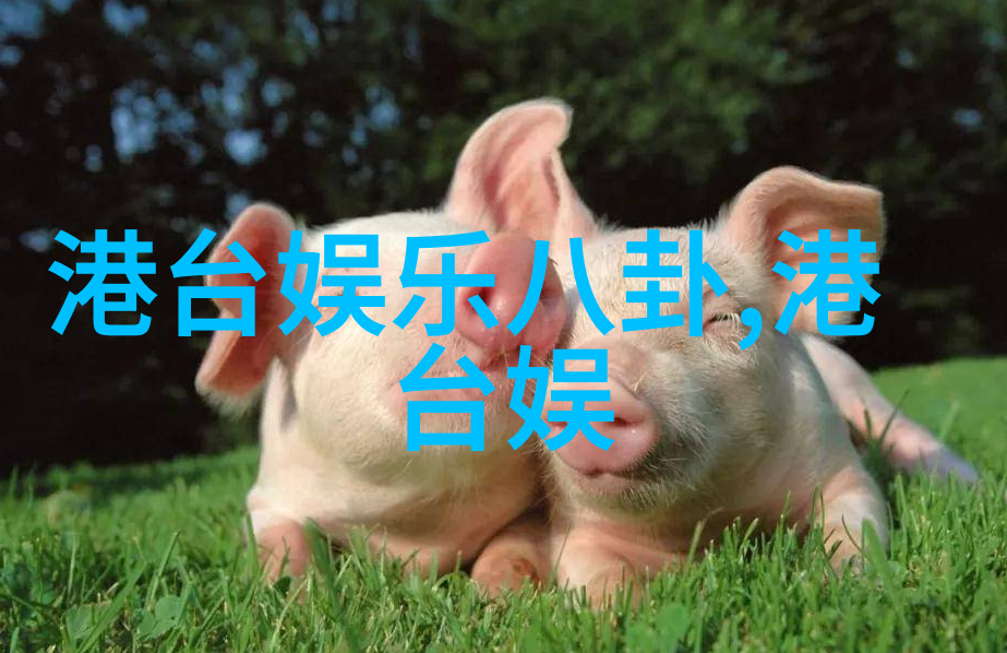 在上海的张韶涵和在吉林的张韶涵两位娱乐圈演技帝一夜之间都变成了座山雕