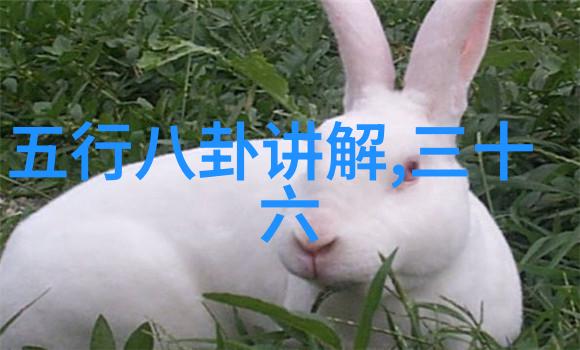 娱乐圈是我的冯绍峰被大妈追问赵丽颖恩爱对话力破离婚谣传犹如一场春日的风暴不留余地地吹散了那些不实之言