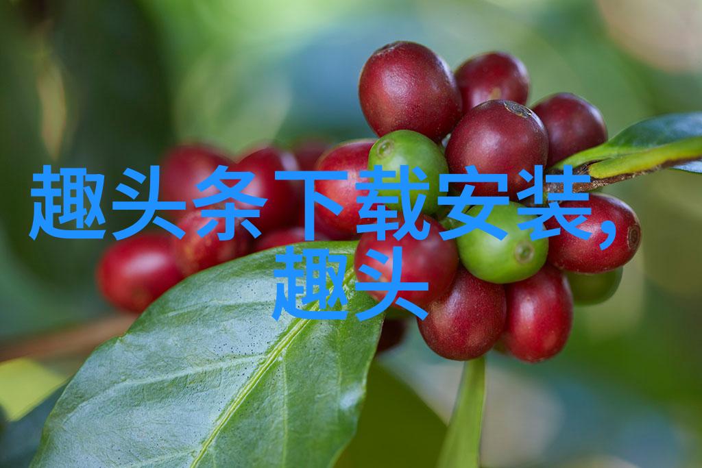 闪耀星途娱乐圈小说全纪录