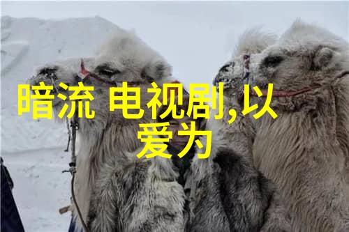 为什么说山东综艺频道是当地文化传播的重要窗口