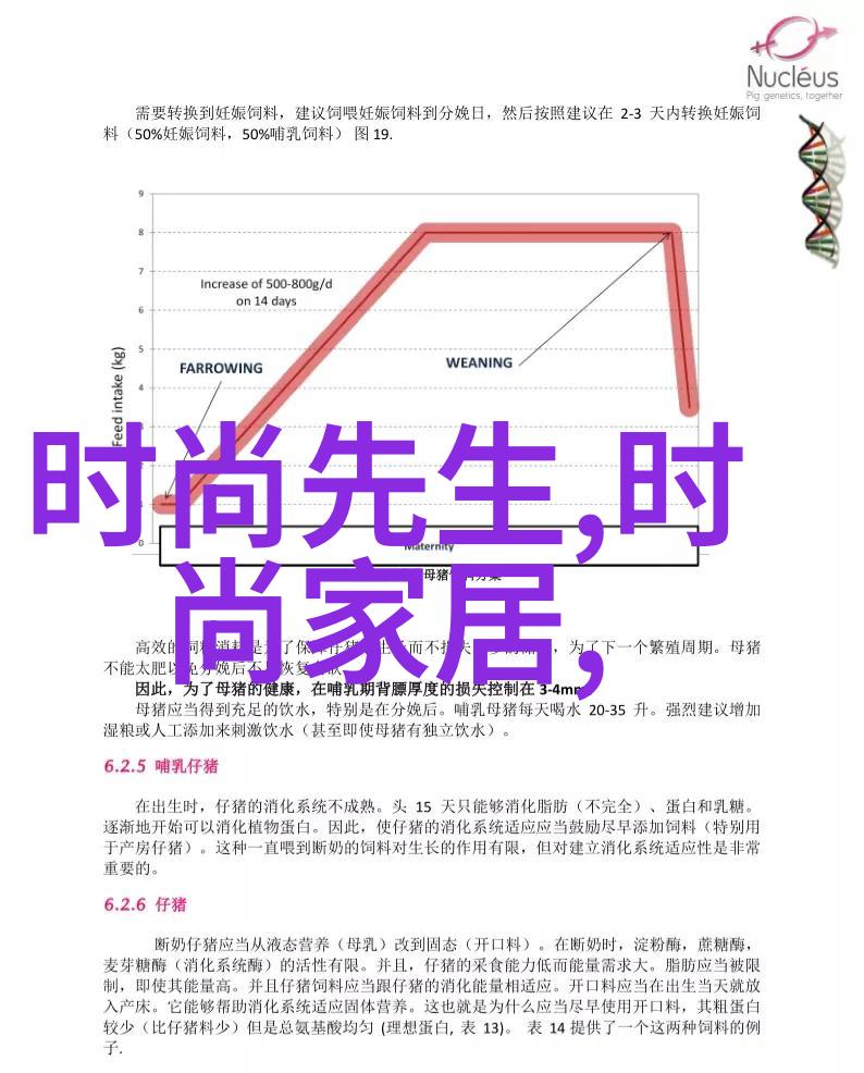 湖南跨年倒计时3天韩国娱乐新闻人物阵容组搭猜测持续进行创意无限