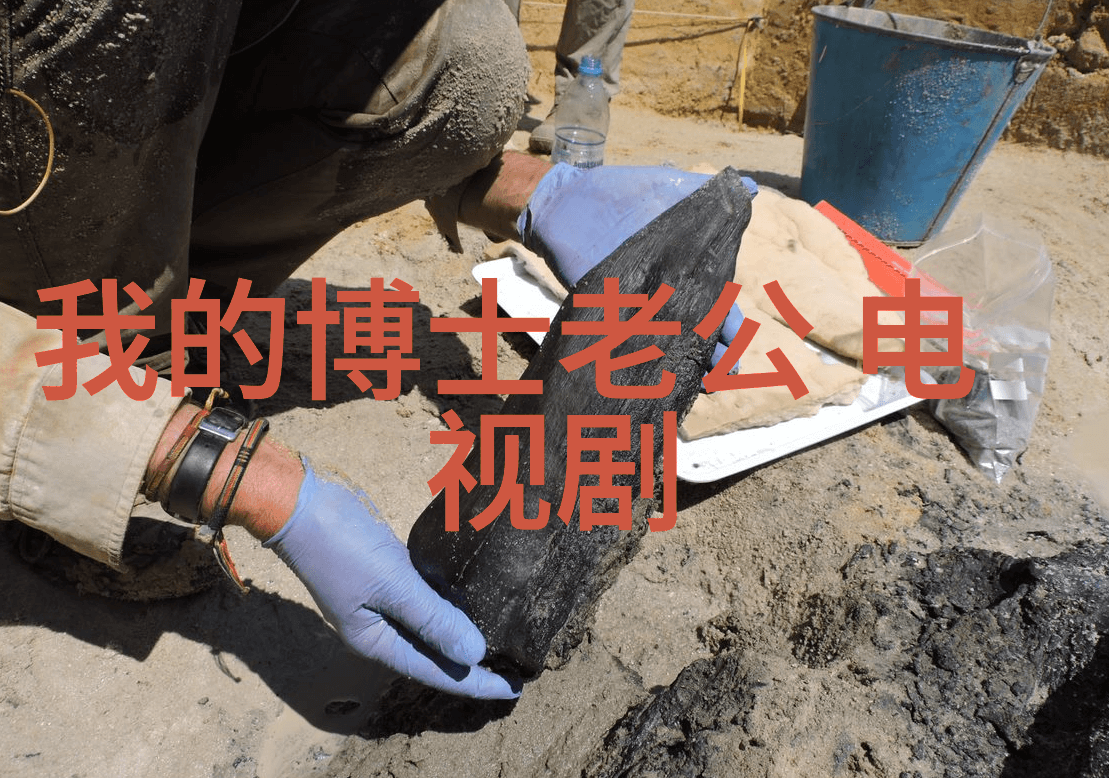 检查背后的隐秘揭开不许拿出来的谜团
