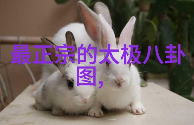 今日头条下载安装少年24男团IN2IT即将出道期待已久