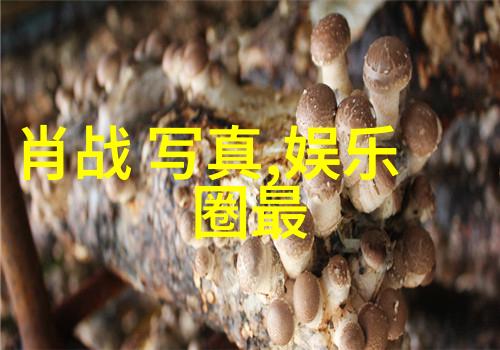时尚个人写真我的风格独一无二