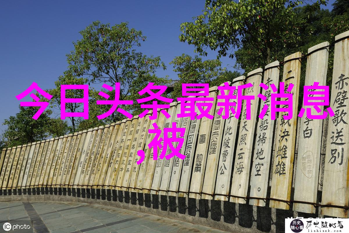 跨越时空的情感纽带温如言观后感