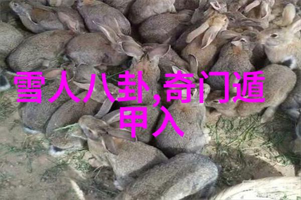 透视人格魅力汤加丽的摄影时尚实验