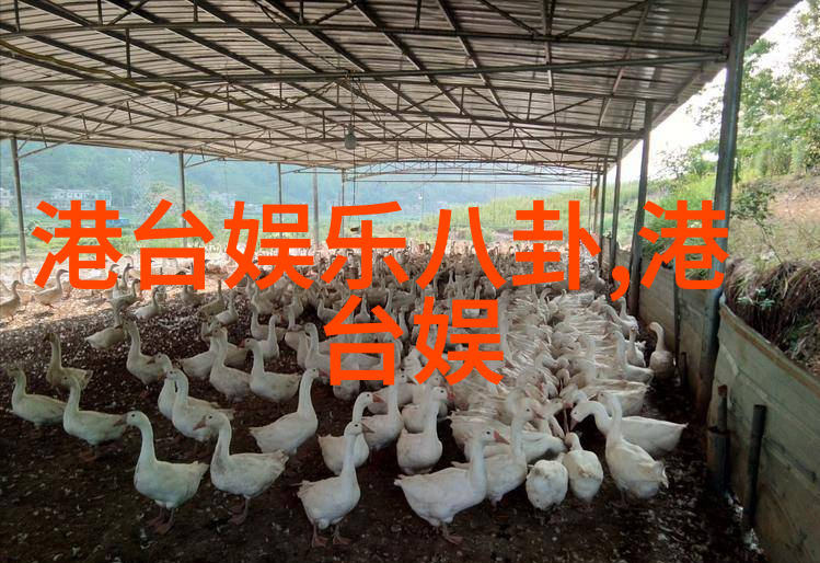 古力娜扎人生导师影响她的重要人物和经历