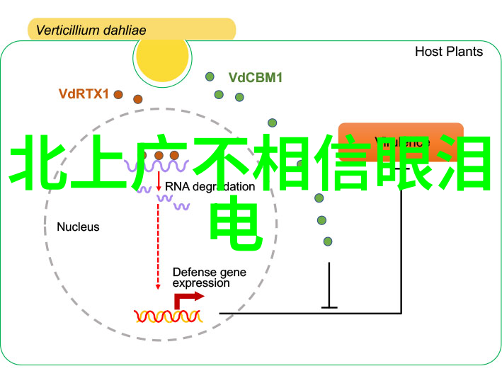 汪峰终于上头条了未来偶像都在这里阳光少年模特风采秀再创T台新时尚