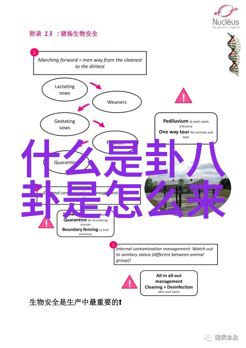 浪漫的甜言蜜语比喻文案简短却能吸引人心