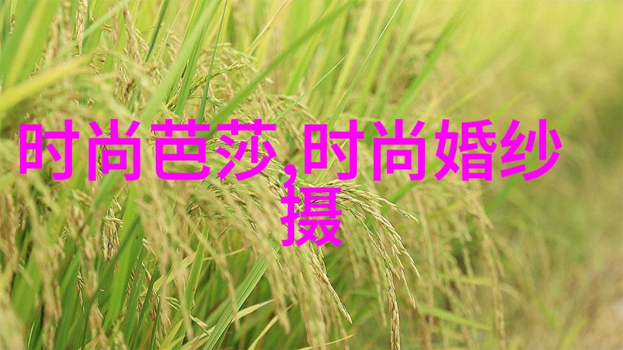 谢金晶AI合体猪哥亮感受台湾建国梦重现江湖