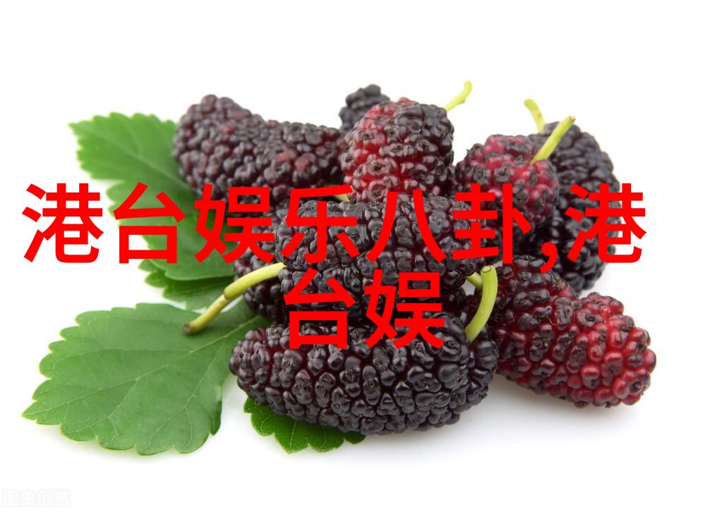 武汉大学鲁述钊女友照片震撼曝光网友他是综艺男神中的翘楚