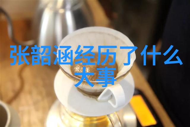 低端影视-灰度时代剖析低端影视行业的现状与挑战