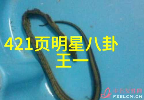 顶级无损音乐播放器音质解锁新篇章