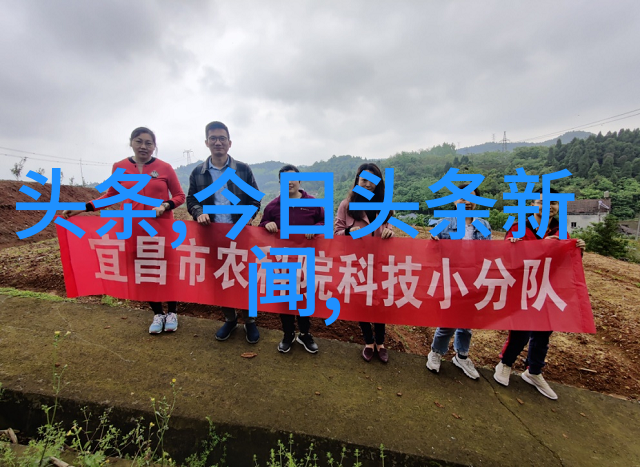 我为儿孙当北漂电视剧能有倚天屠龙记那样的质量吗曾舜晞发长文赞誉张无忌形象