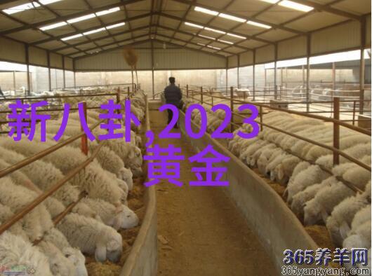 歌坛巨星恋情揭秘背后的真相