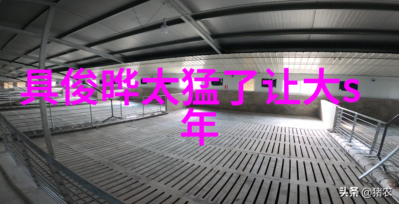 解读天地易经智慧的探寻者