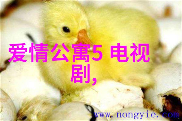 心寒的画面失望与解构