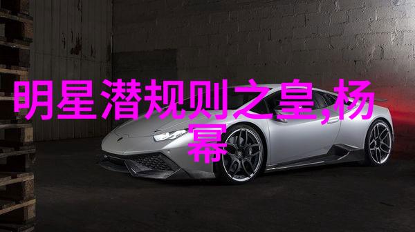 20岁的黄晓明青春之歌与香港回归的庆典