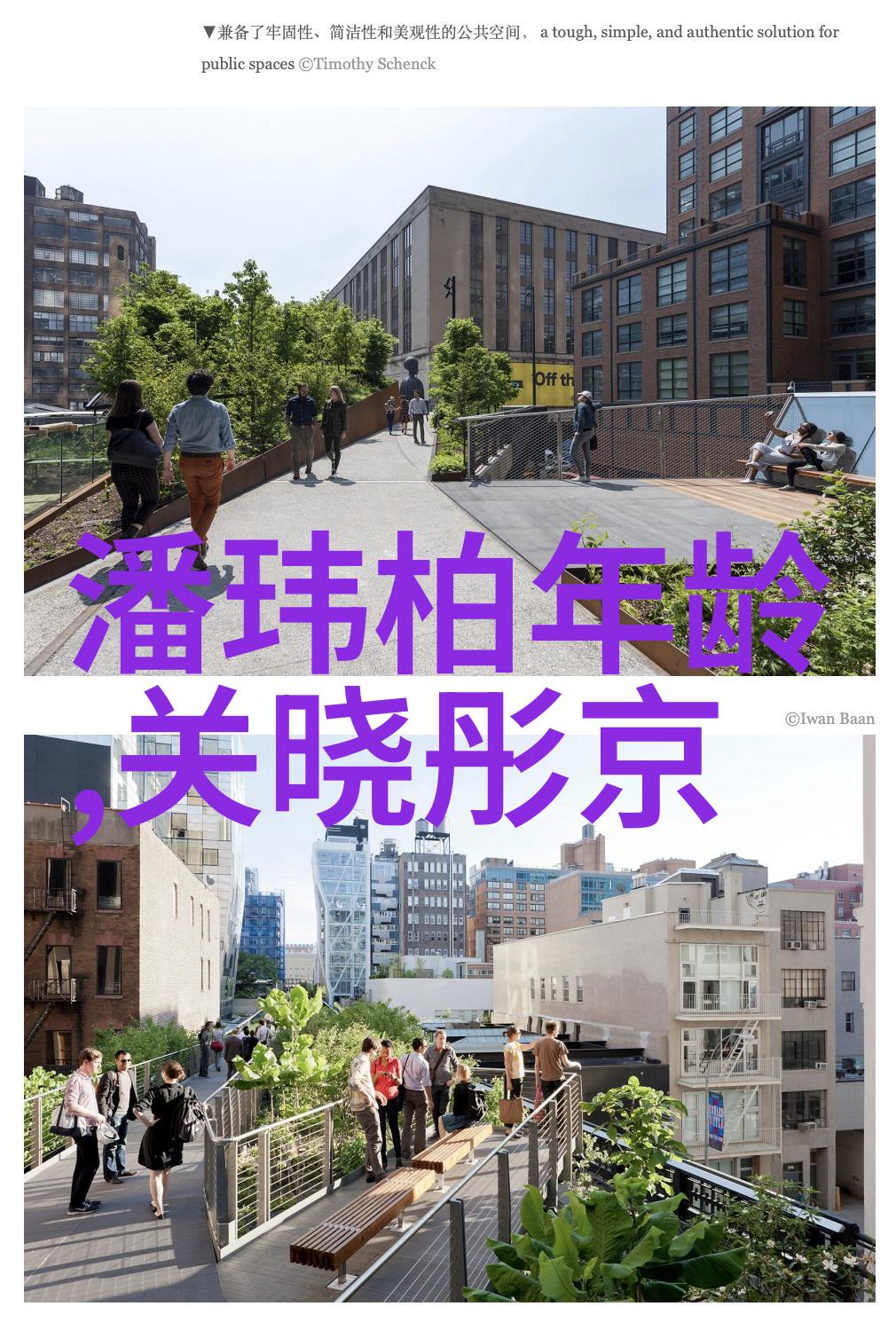 2022年头像图片风潮分析审美趋势与设计创新