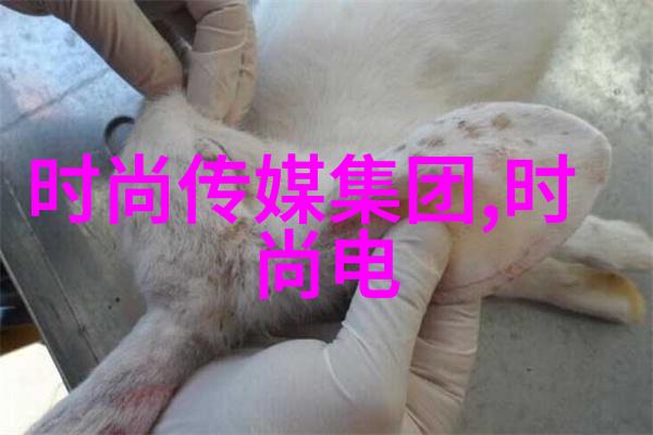 夏日护肤必备超轻盈乳液保湿秘籍