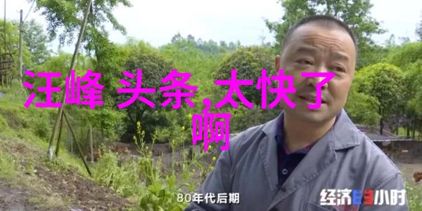 K-POP明星的秘密花园揭秘韩国娱乐圈背后的豪宅与生活方式