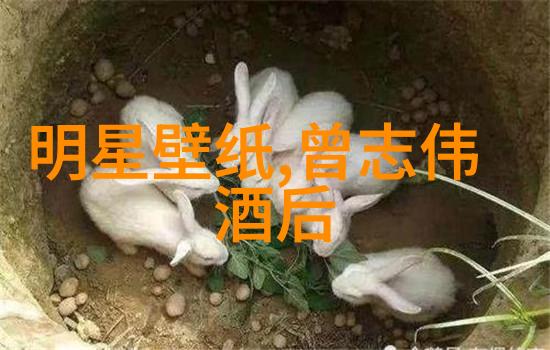 解读不同文化中的汤品与习俗