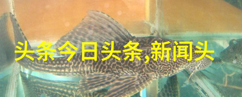 梅花红桃电视剧完整版免费观看 网友爱不释手