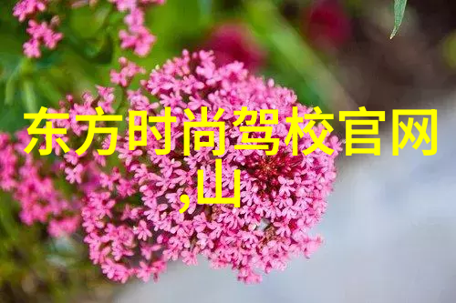 静止画卷里的动感瞬间解读动态摄影在日照册中的应用