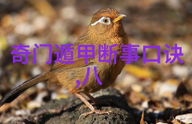 中国网红热土揭秘哪个省份最多拥抱明星力量