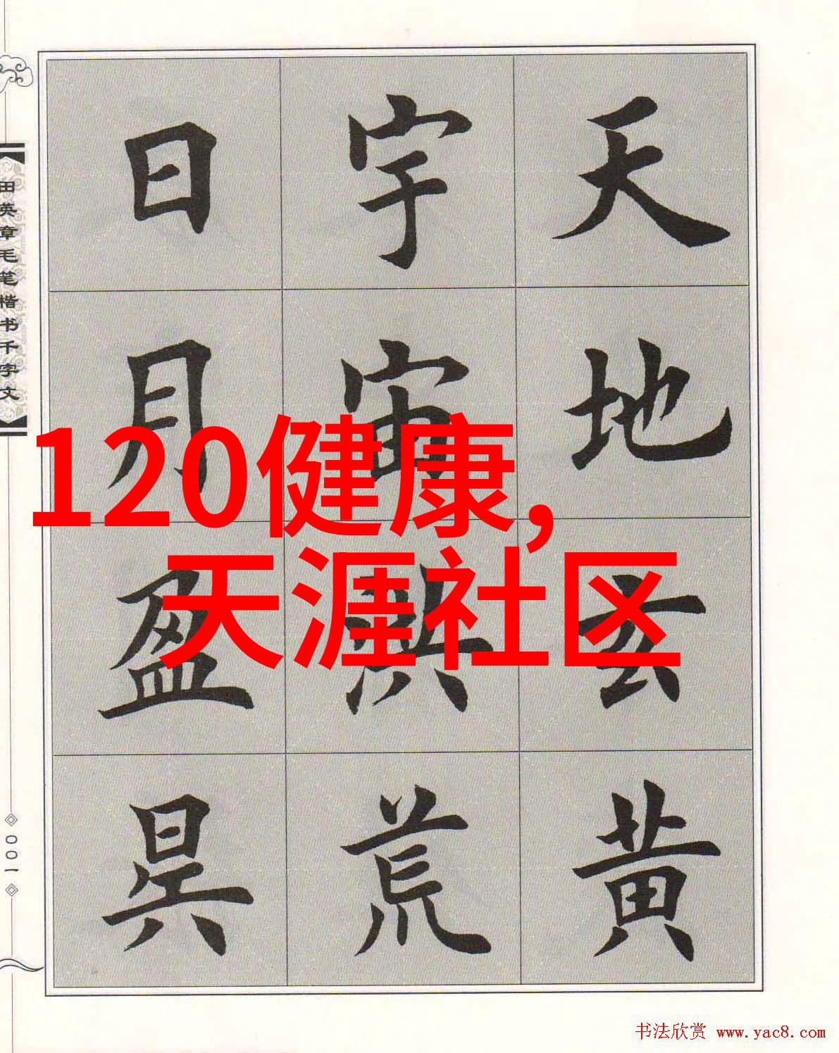 旗袍全开襟设计的双人运动服装时尚与实用并重的民族风格运动装