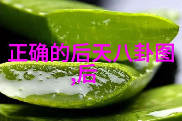 我从无名小伙计到综艺焦点误入镜头后我是如何火起来的