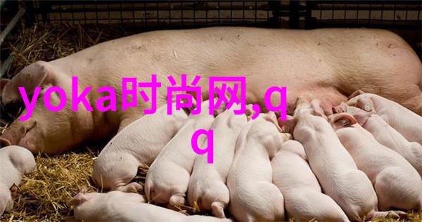 TOP涉嫌吸毒将遭处罚 与20岁女性在其住宅吸食大麻