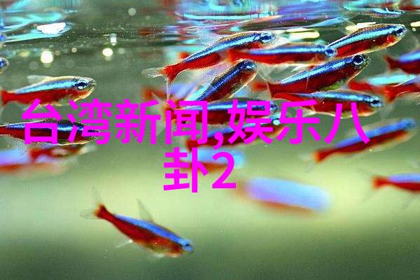 翅膀上的舞者鸭脖娱乐的盛宴
