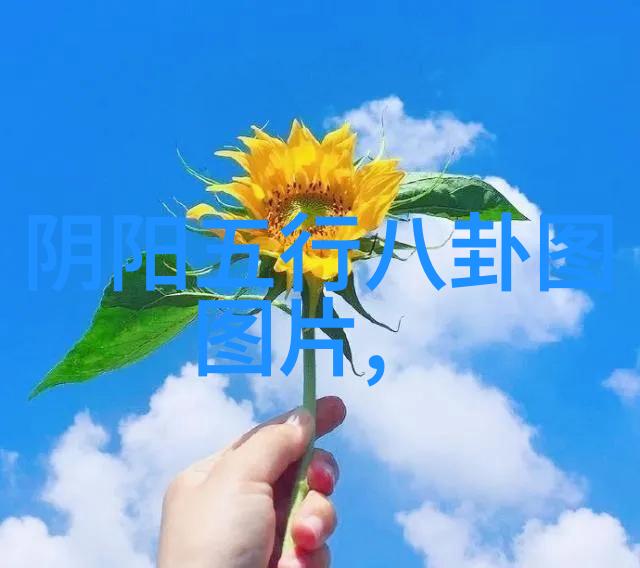 婚巢 电视剧我家的幸福大戏爱在巢中绽放