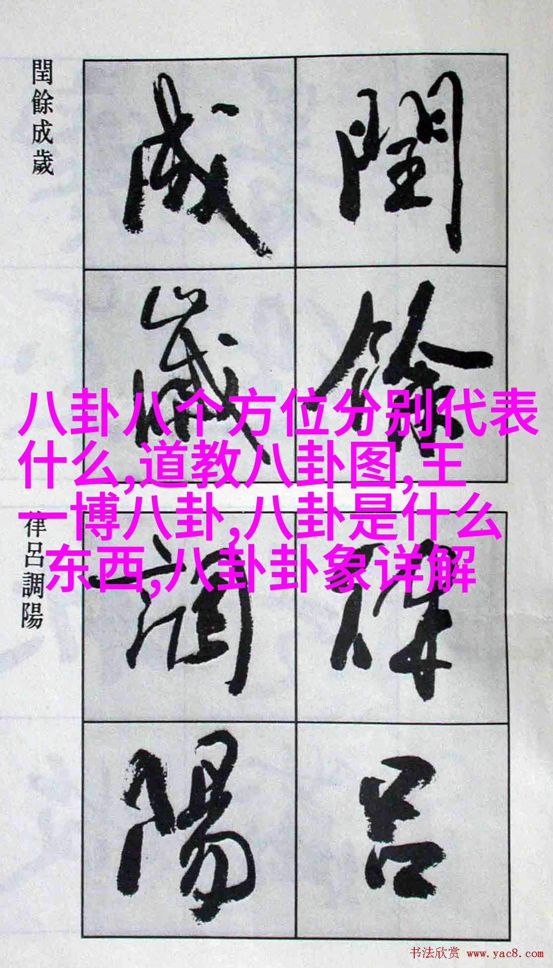 花海绽放