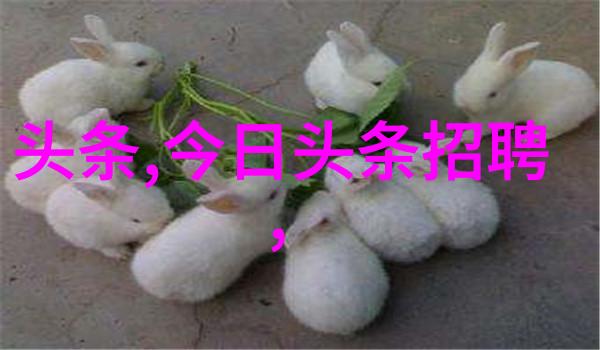 镜头背后的笑话写真艺术摄影的幽默篇