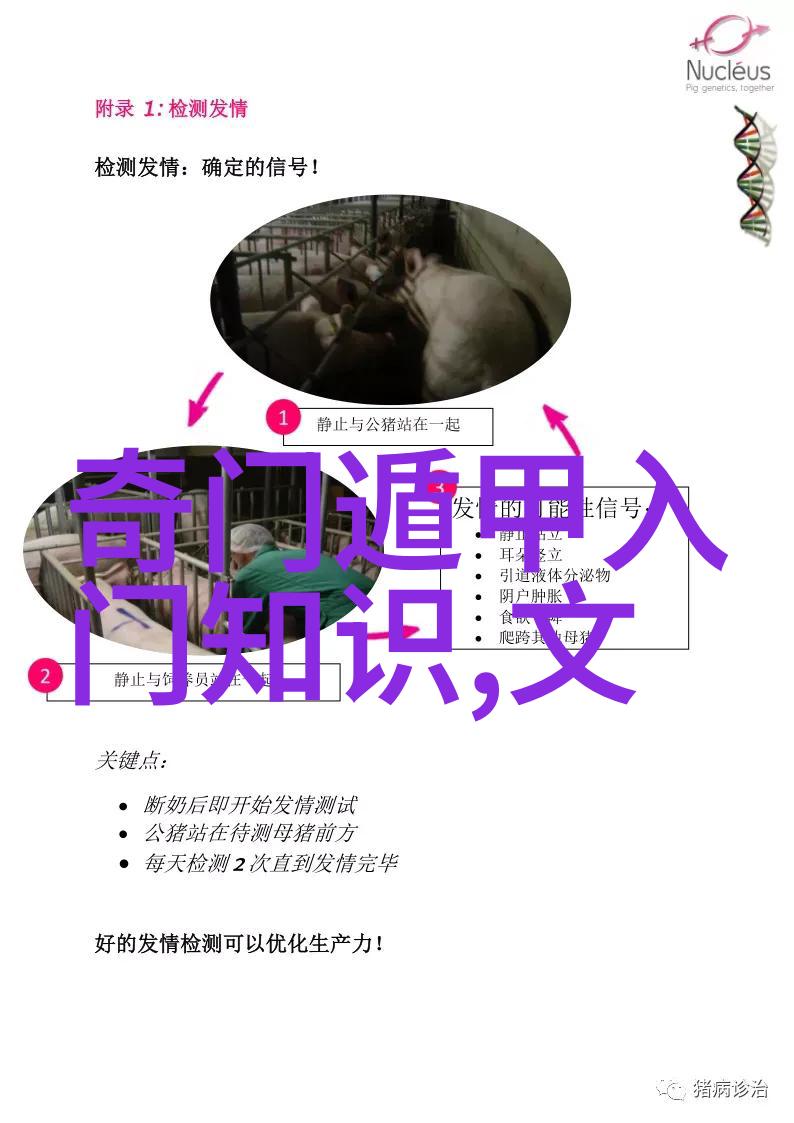 谢鸿鑫罚罪饰演常石凭坑哥第一名受关注不懂撒娇的女人在电视剧中以一件旧手表作为情感纽带讲述了她与男主