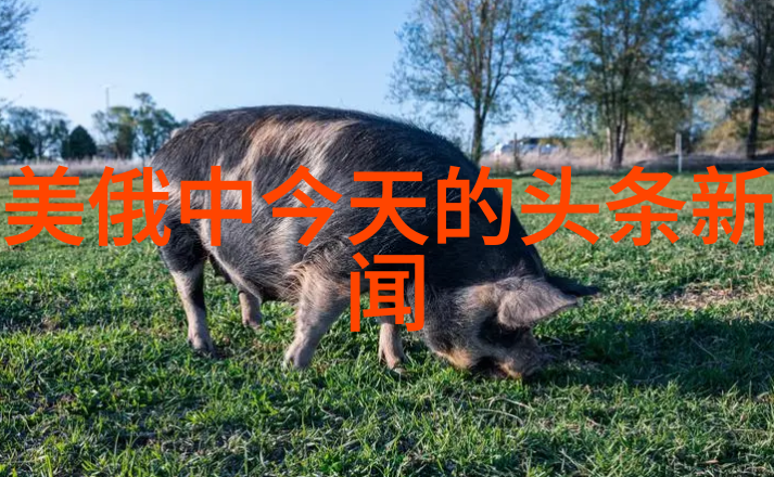 后天八卦对应方位别忘了我告诉你的事儿